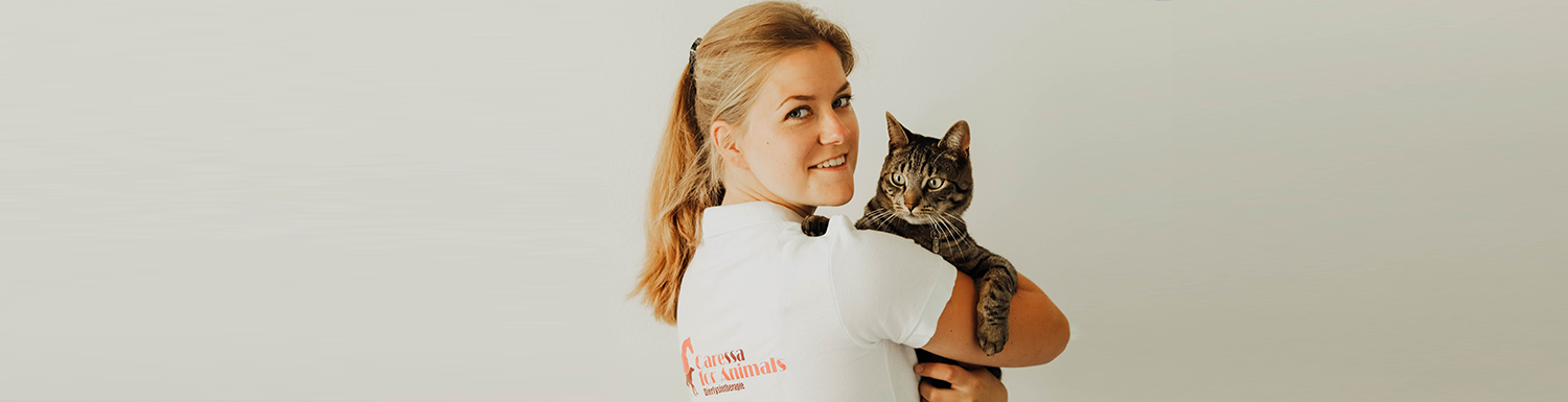 Kattenfysiotherapie - praktijk in Rotterdam, Middelharnis en Rucphen