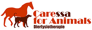 Caressa for Animals - Dierfysiotherapiepraktijk omgeving Zeeland en Zuid-Holland
