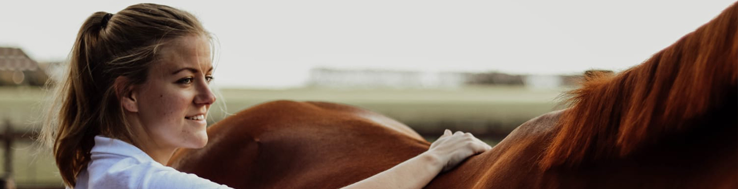Fysiotherapie voor paarden kan uitkomst bieden bij rugklachten, artrose of blessures.